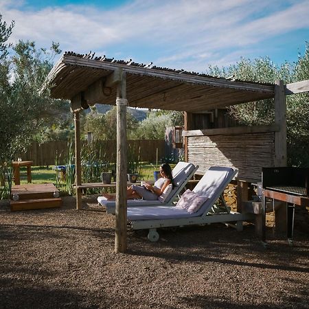 Olive Stone Farm Cottages Montagu Ngoại thất bức ảnh