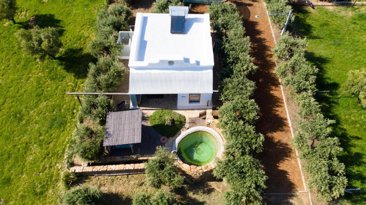 Olive Stone Farm Cottages Montagu Ngoại thất bức ảnh